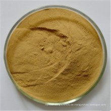 Kiefernrinde Proanthocyanidine 95%